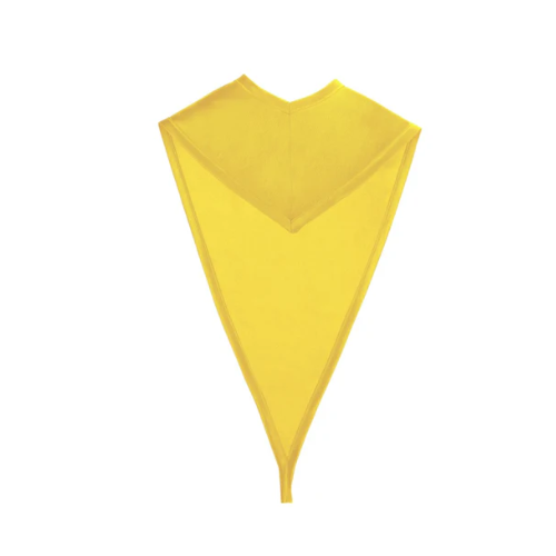 Gold Kindergarten/Preschool Hood